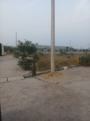  Plot – Exterior View View at Jewar - for Sale