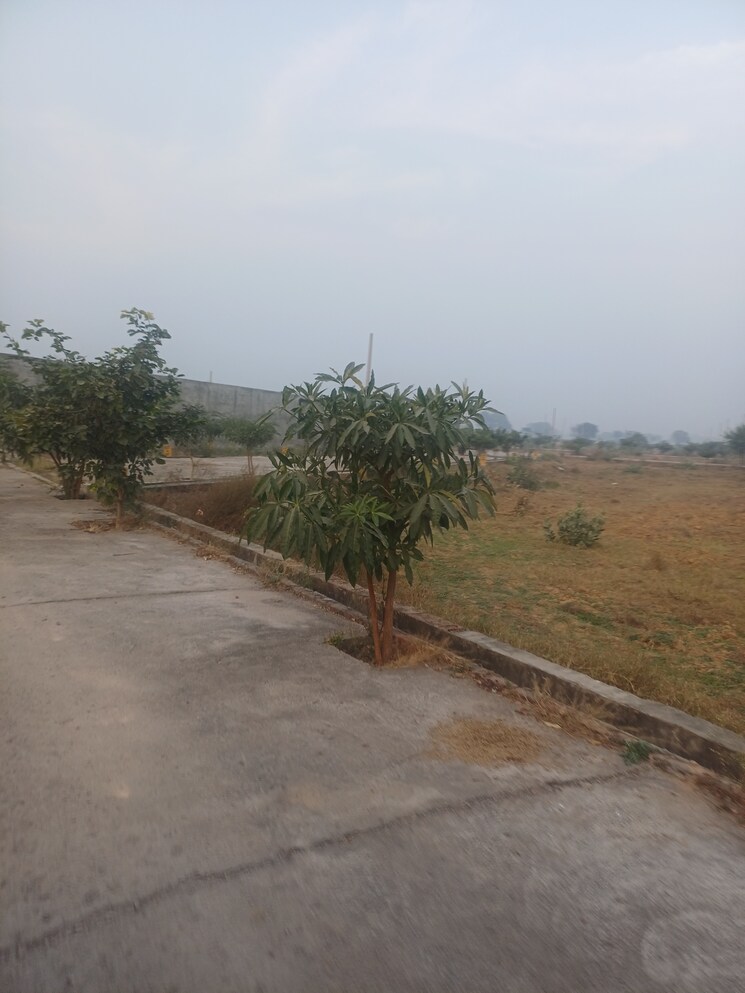Garden, jewar  136 Sq.Yd. Plot In Jewar Greater Noida 9689633