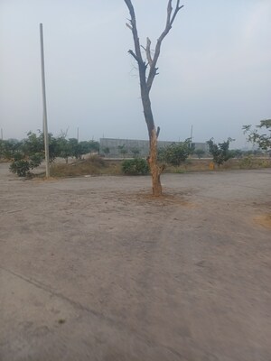 Plot – Exterior View View at Jewar - for Sale