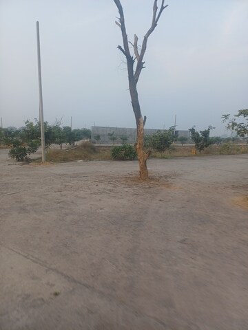  Plot – Exterior View View at Jewar - for Sale