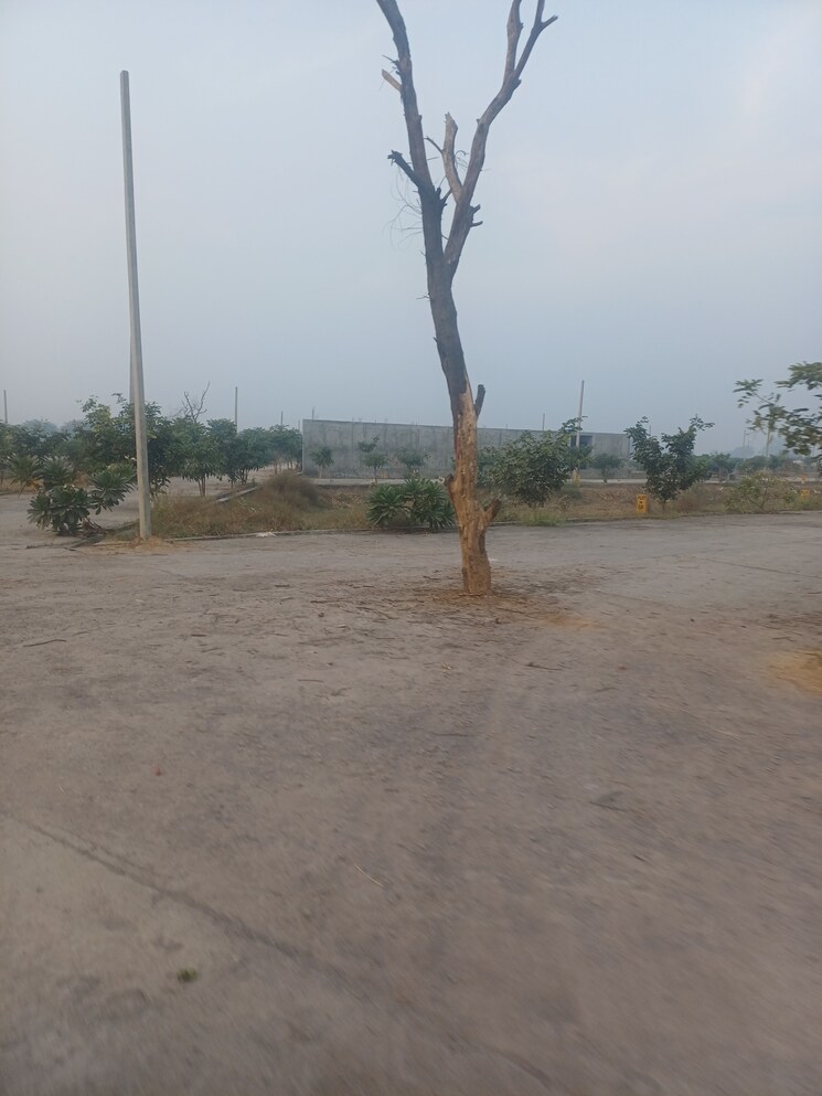 Exterior View, jewar  136 Sq.Yd. Plot In Jewar Greater Noida 9689633