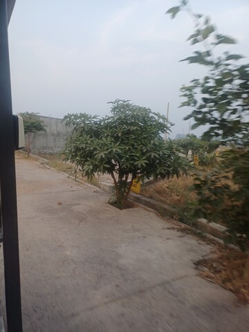  Plot – Exterior View View at Jewar - for Sale