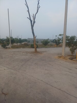  Plot – Exterior View View at Jewar - for Sale