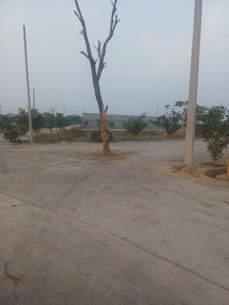 Exterior View, jewar  140 Sq.Yd. Plot In Jewar Greater Noida 9689649