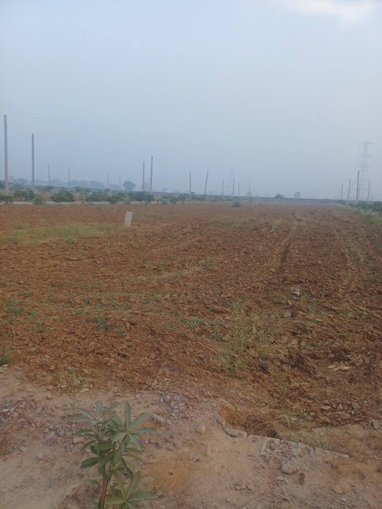 Exterior View, jewar  142 Sq.Yd. Plot In Jewar Greater Noida 9689669