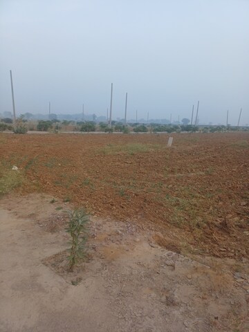  Plot – Exterior View View at Jewar - for Sale
