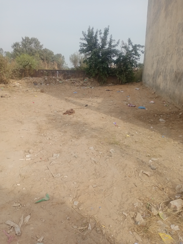 Plot For Sale in Palm City Haibatpur Road 