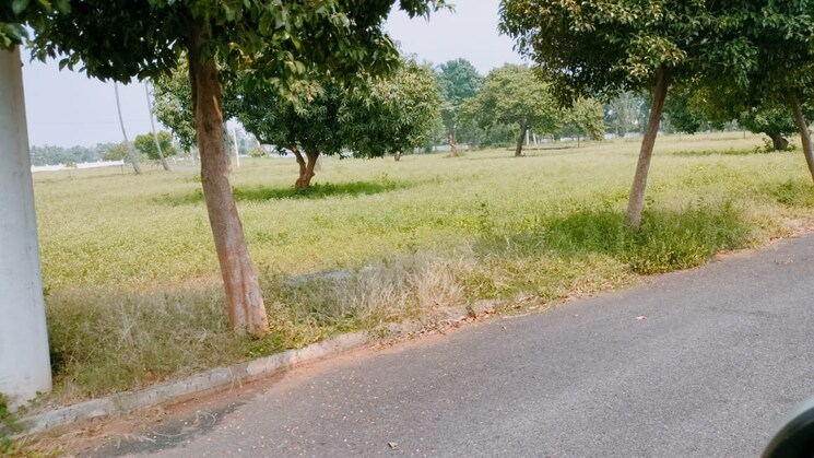 undefined, bhogapuram  267 Sq.Yd. Plot In Bhogapuram Vizag 9690065