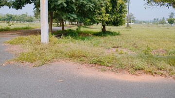 Plot Area in  Plot at Bhogapuram – for Sale