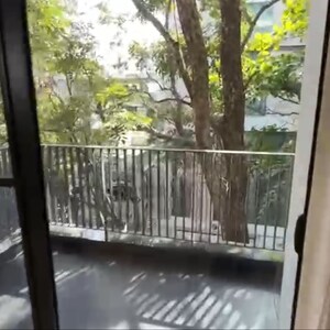 Balcony in 2 BHK Builder Floor at Jayanagar – for Rent