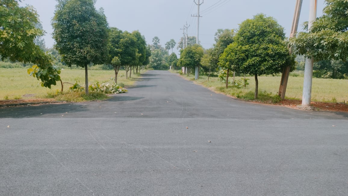 Plot For Sale in Cmr Gold Field,savaravill