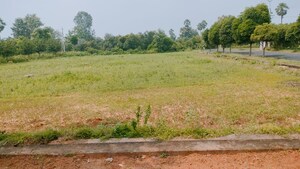 Plot Area in  Plot at Bhogapuram – for Sale