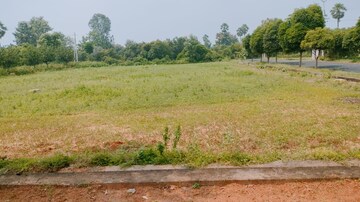Plot Area in  Plot at Bhogapuram – for Sale