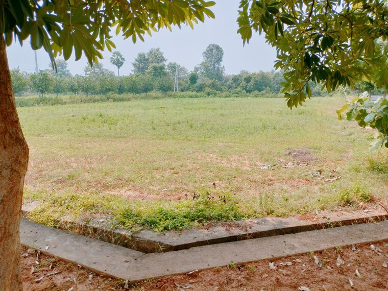 undefined, bhogapuram  403 Sq.Yd. Plot In Bhogapuram Vizag 9690083