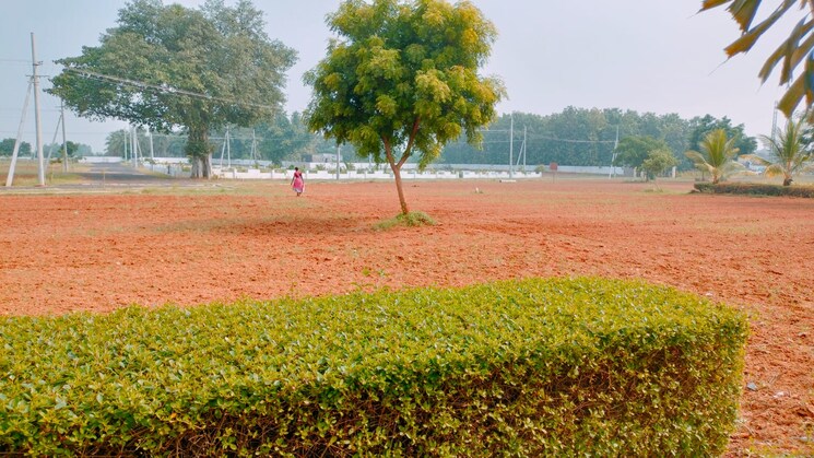 Garden, thagarapuvalasa  200 Sq.Yd. Plot In Thagarapuvalasa Vizag 9690091