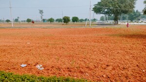 Plot Area in  Plot at Thagarapuvalasa – for Sale