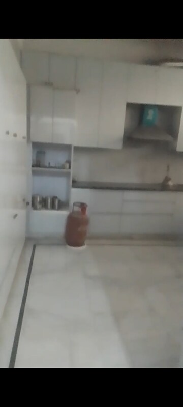 1 BHK Independent House For Rent in RWA Apartments Sector 41, Sector 41