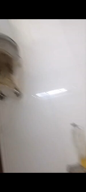 1 RK Independent House For Rent in RWA Apartments Sector 52, Sector 52