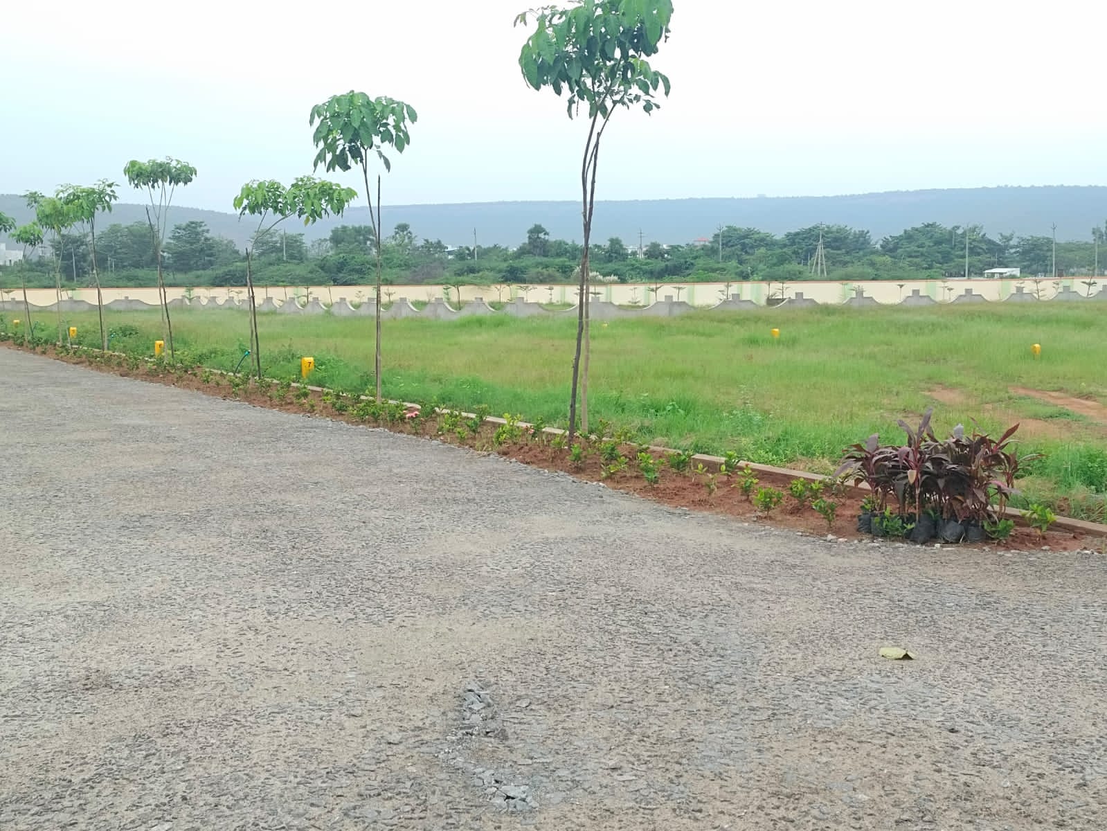 Plot For Sale in Golden Beach  Ins Kalinga