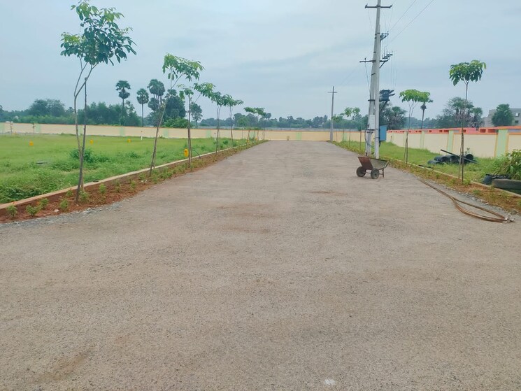 undefined, bheemili  165 Sq.Yd. Plot In Bheemili Vizag 9690238