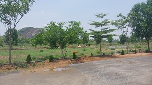 Plot Area in  Plot at Kothavalasa – for Sale