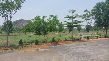 Plot Area in  Plot at Kothavalasa – for Sale
