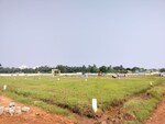 220 Sq.Yd. Plot in Golden Beach  Ins Kalinga