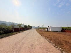 Plot For Sale in Badripur