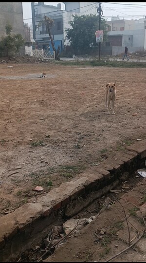  Plot For Sale in Modipuram