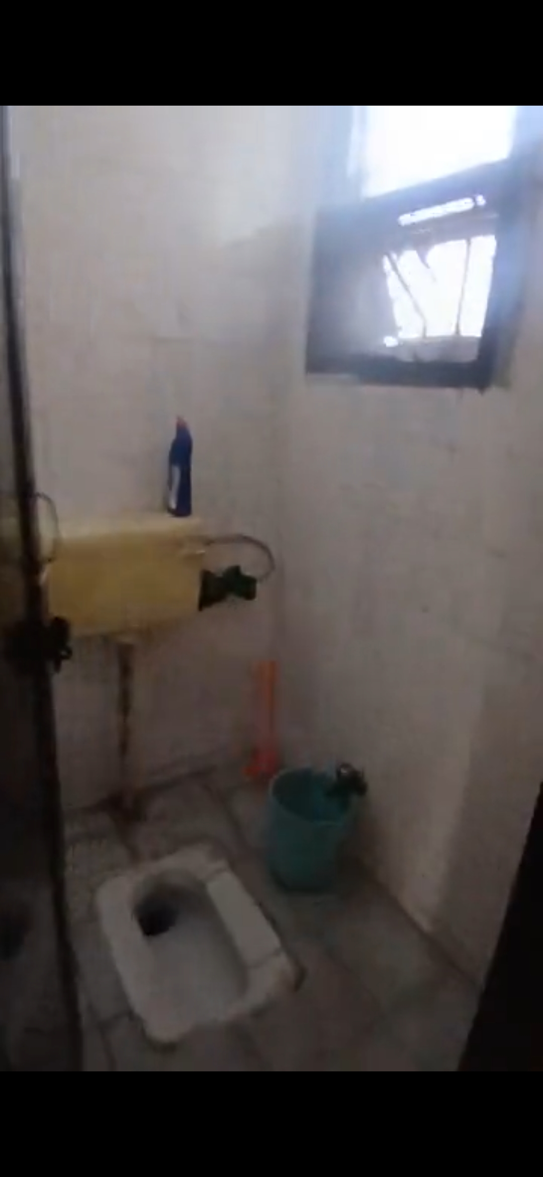 3 BHK + Pooja Room Apartment For Rent in Indian Oil Apartments