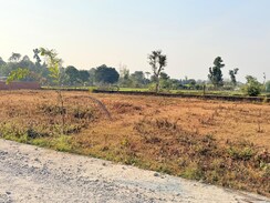 Plot For Sale in Shimla By Pass 