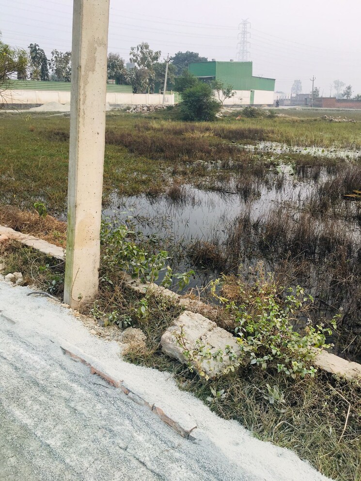 Garden, ramnagar  1360 Sq.Ft. Plot In Ramnagar Varanasi 9690685