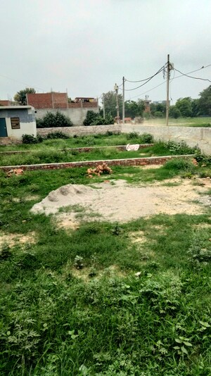 Plot Area in  Land at Takrohi – for Sale