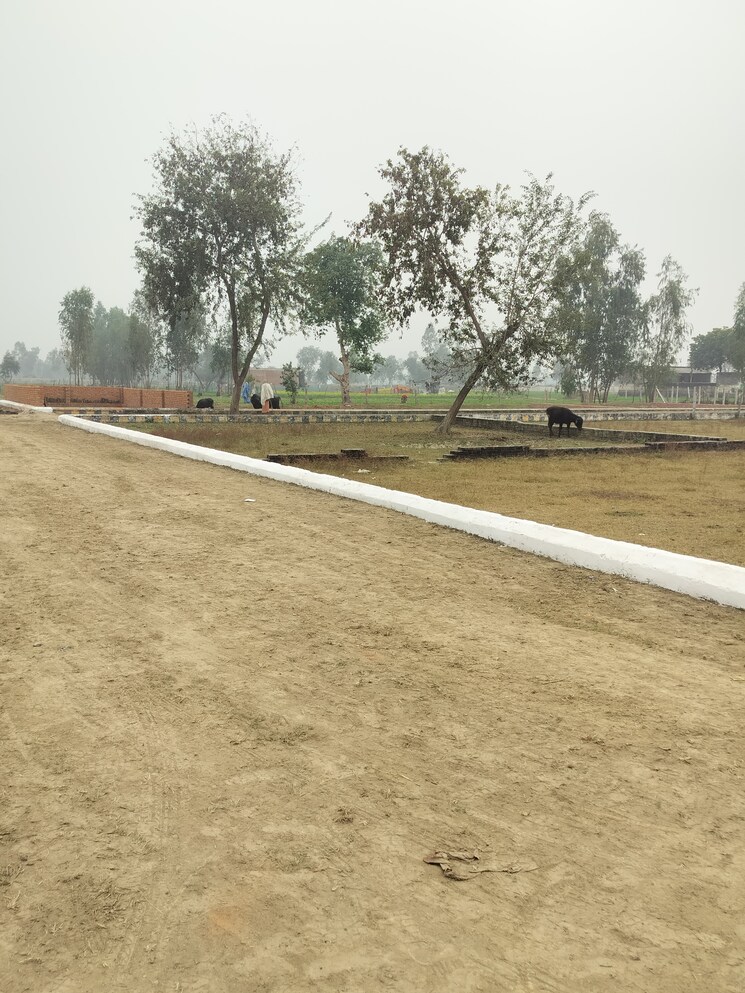 undefined, deva road  3000 Sq.Ft. Plot In Deva Road Lucknow 9690724