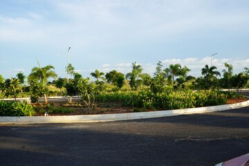 Plot Area in  Plot at Suraram – for Sale