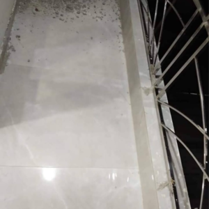 Staircase in 2 BHK Builder Floor at Chattarpur – for Rent