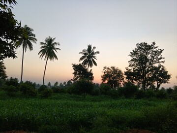  Plot – Garden View at Devanahalli - for Sale