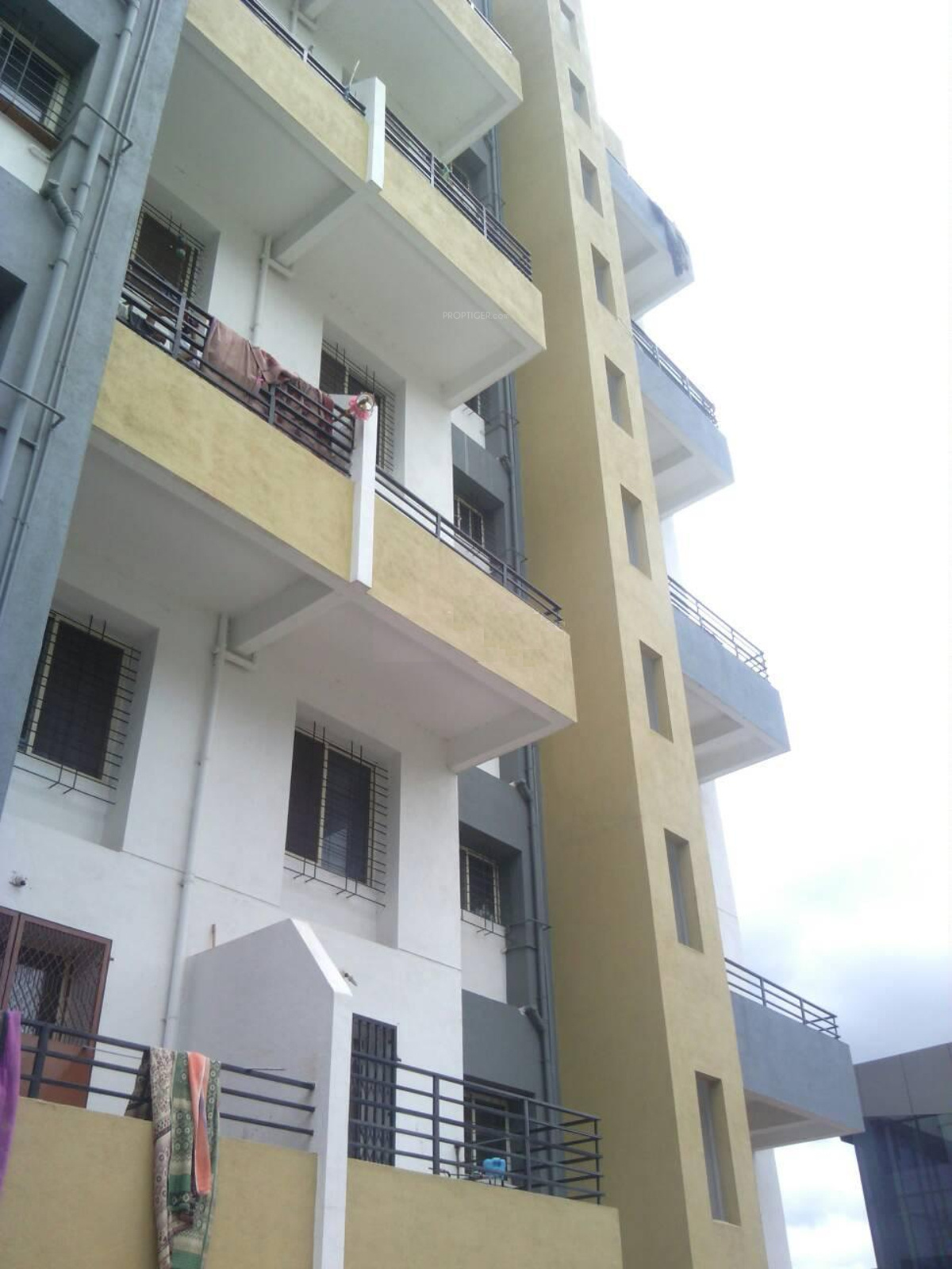 2 BHK Apartment For Rent in Gulmohar City