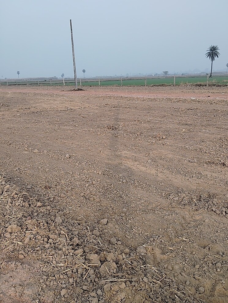 undefined, sohna  495 Sq.Ft. Plot In Sohna Gurgaon 9691414