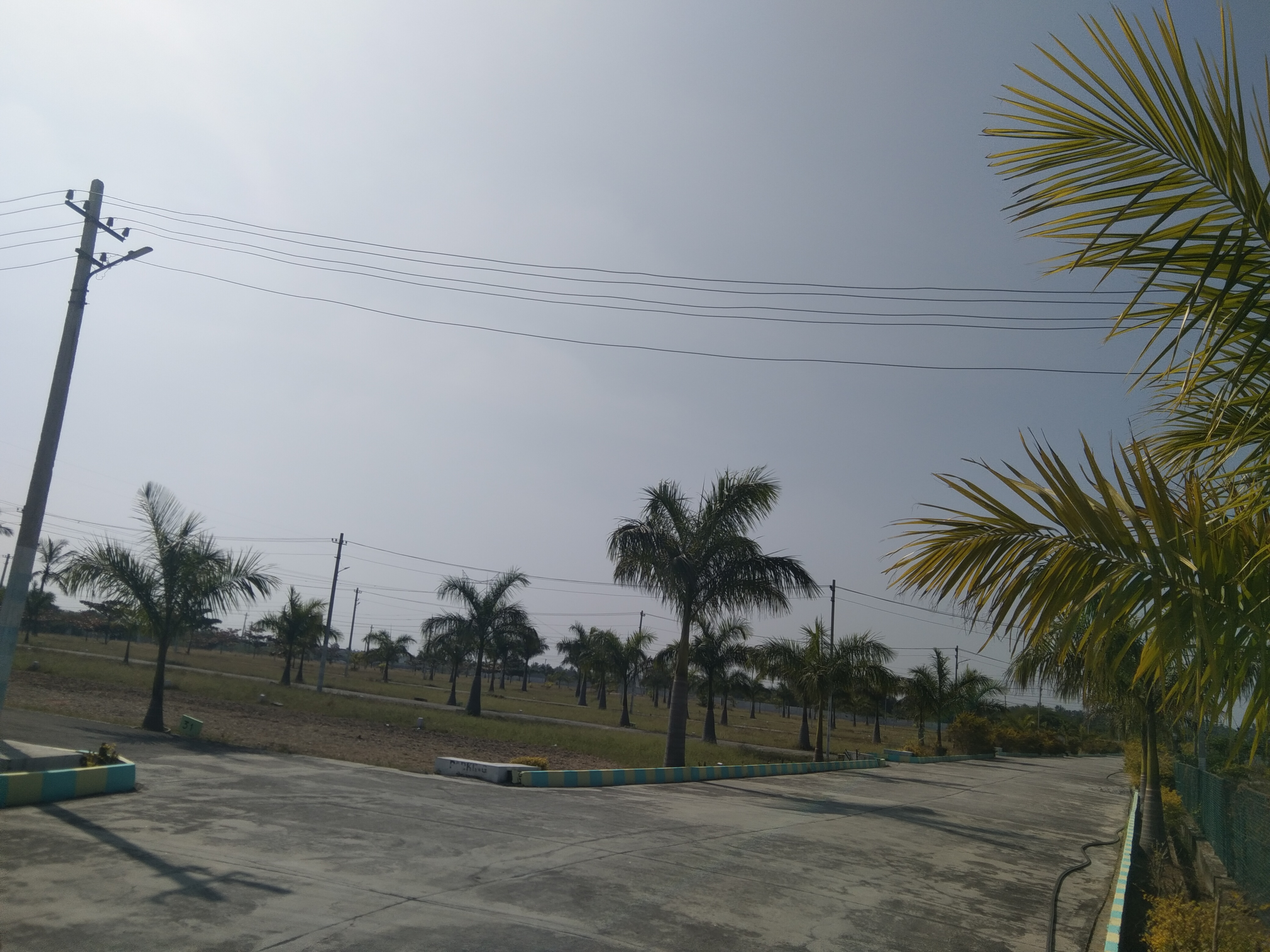 Plot For Sale in Plots For Sale In Kolar J