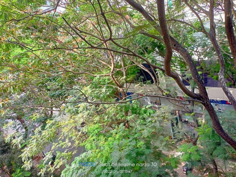 Exterior View, rose-queen 3 Bedroom 1200 Sq.Ft. Apartment In Khar West Mumbai 9691476