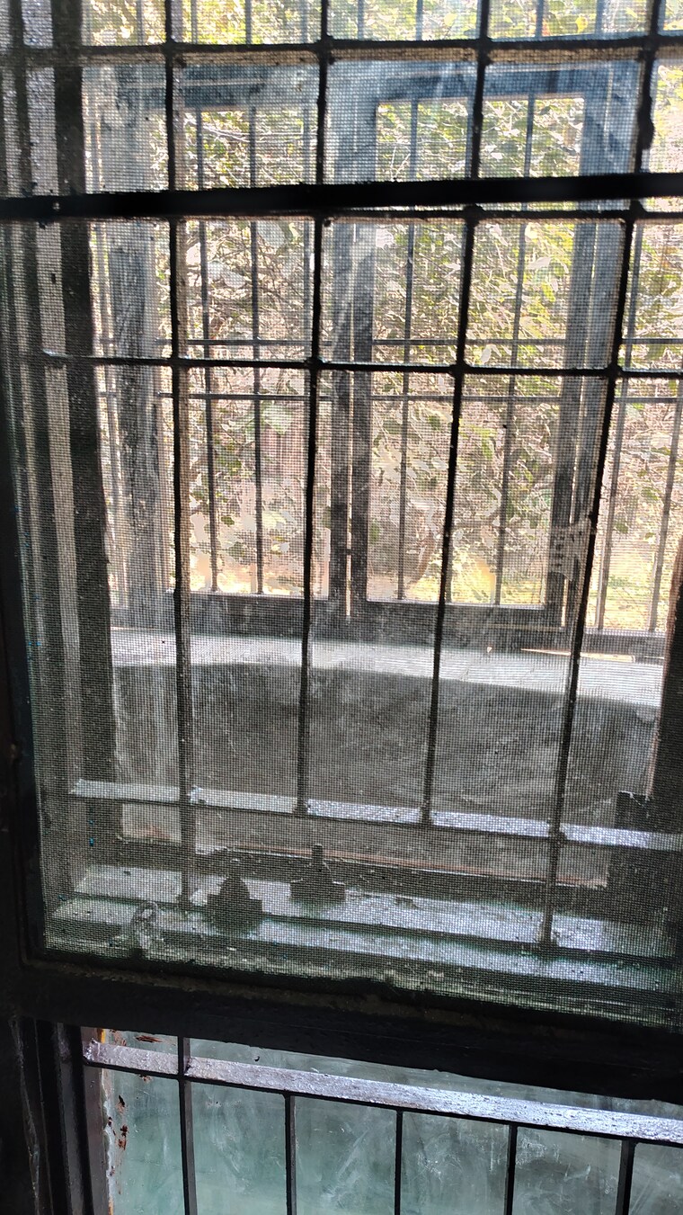 Balcony, sector 62 2 Bedroom 1000 Sq.Ft. Independent House In Sector 62 Noida 9691511