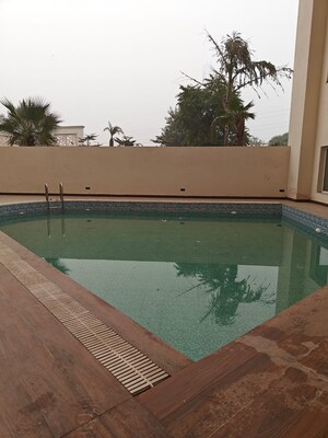 Swimming Pool in 3 BHK Apartment at Sidhartha NCR Green, Sector 95 – for Rent