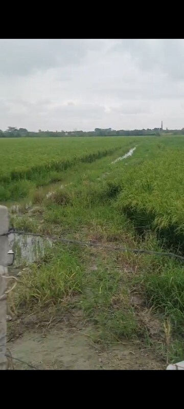 Plot Area in  Land at Sikandrabad – for Sale