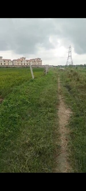 Plot Area in  Land at Sikandrabad – for Sale