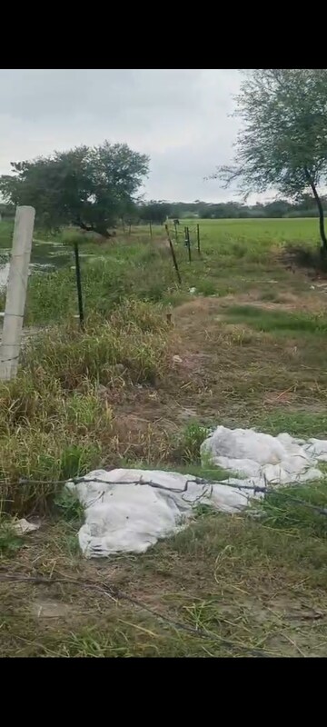 Plot Area in  Land at Sikandrabad – for Sale