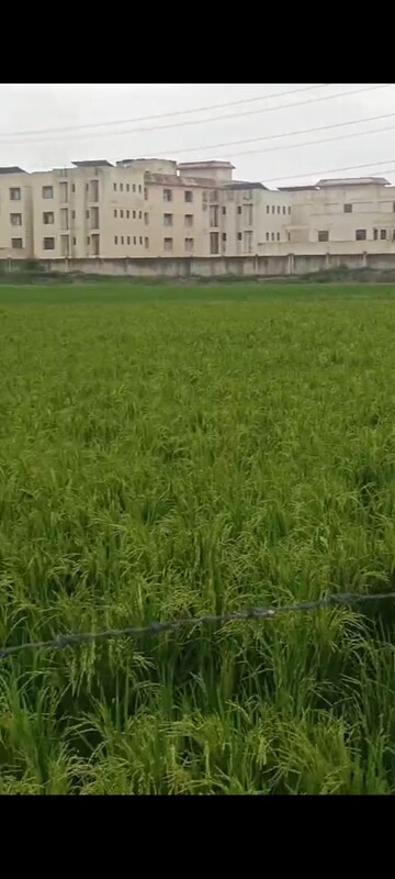 Plot Area in  Land at Sikandrabad – for Sale