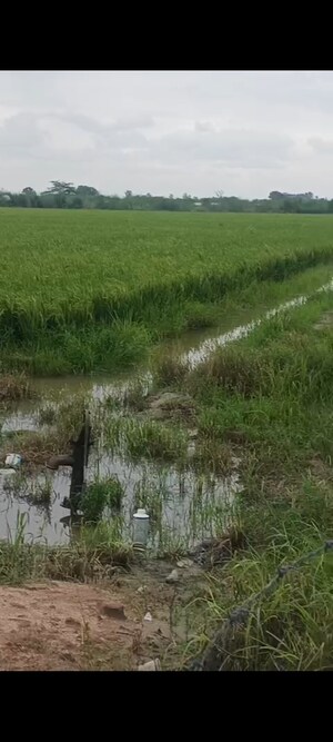 Plot Area in  Land at Sikandrabad – for Sale