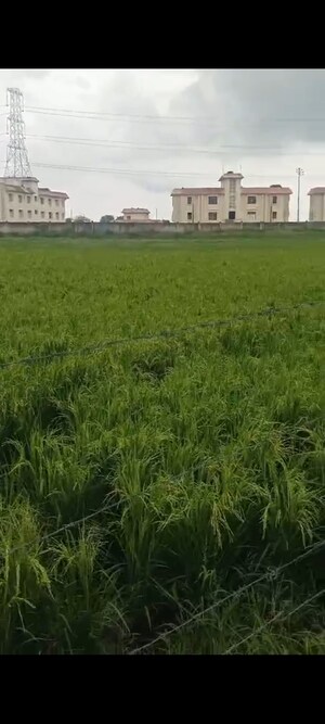 Plot Area in  Land at Sikandrabad – for Sale