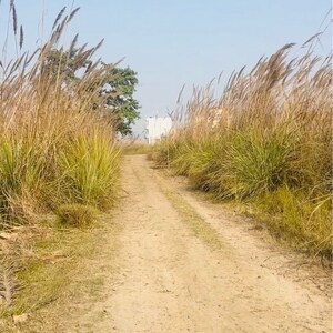 Plot Area in  Plot at Surya Chaman Enclave, Dhoom Manikpur – for Sale